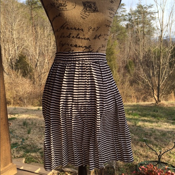 Navy stripe pleated skirt