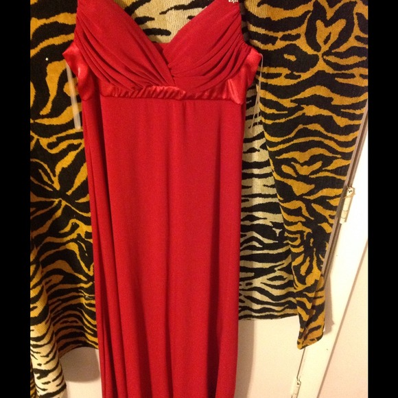 PROM/WINTER BALL DRESS - Picture 3 of 3