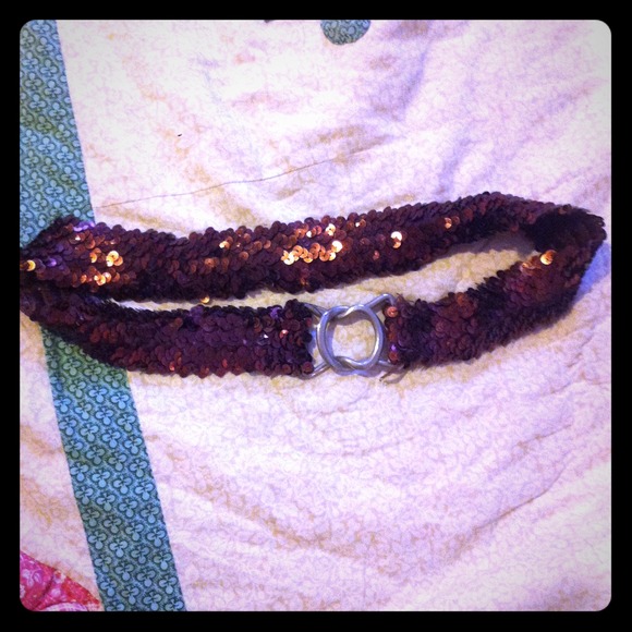 Sparkly brown belt