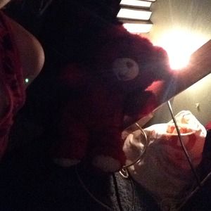 red collectors teddy bear 2oo8 collection