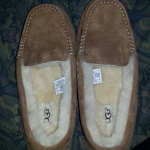 Ugg Mocassins