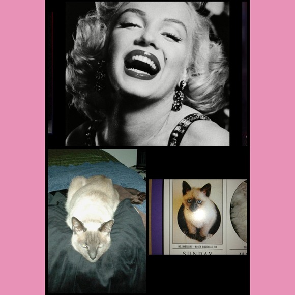 SHOP @heatherviola