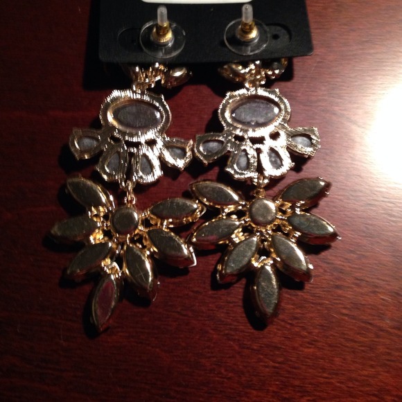 🎉🎉HOST PICK 03/30🎉🎉 Earrings from the limited. - Picture 2 of 3