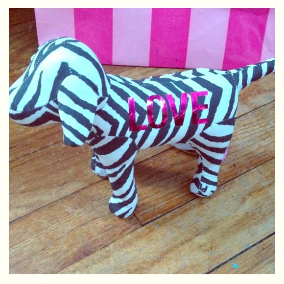 Victoria's Secret mini dog