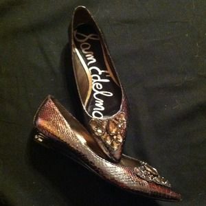 Sam Edelman pointed toe ballet flats