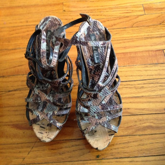 Fancy Shoes