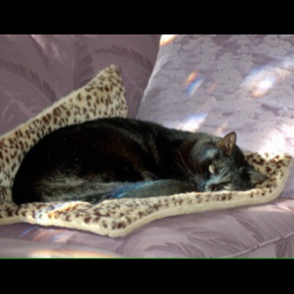 Toby, sweetest girl I've ever known.