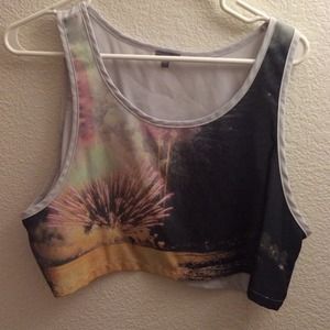 Fireworks crop top