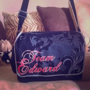 Twilight Book Series and More