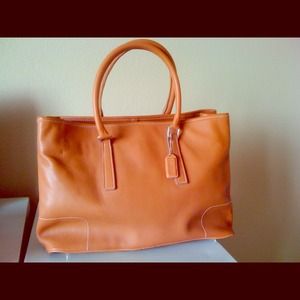 Coach Sienna Leather Caryall