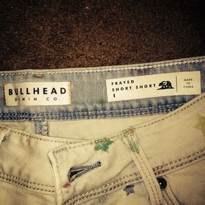 Pacsun shorts (bullhead) NWOT