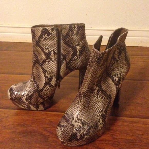 Snake print booties