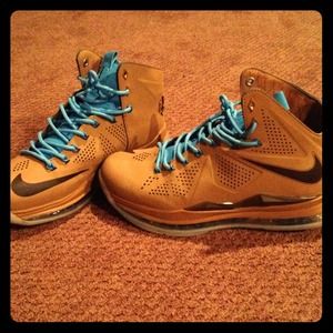 Lebron 10/X