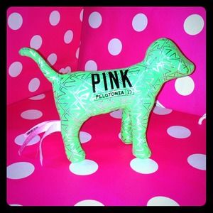 Victoria's Secret pelotonia dog and Britishish dog