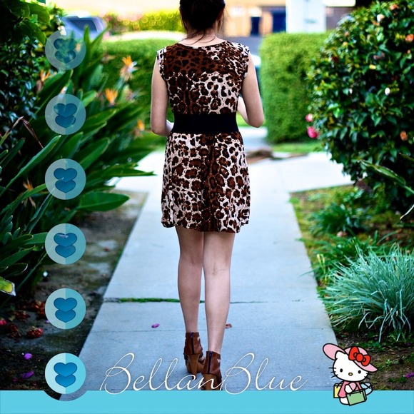 🎉HPx4🎉 - 🐯The KISS ME dress🐯 - Picture 3 of 4