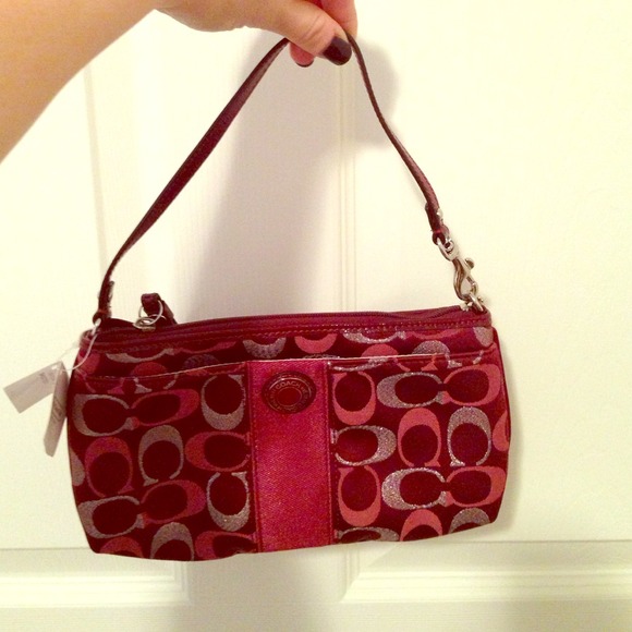 💕💕NEW💕💕 Small Coach purse