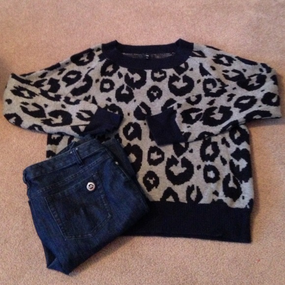 Gray/Dk blue sweater