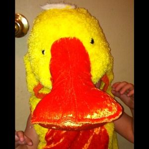 Adorable Toddler Duck Costume!