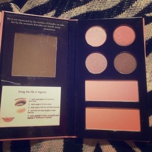 Stila eye/cheek palette& too faced