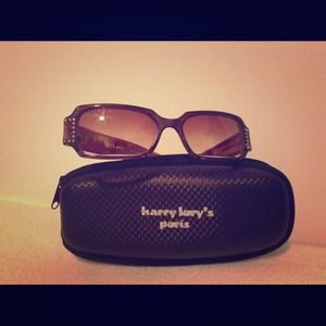 Harry Larry's Sunglasses
