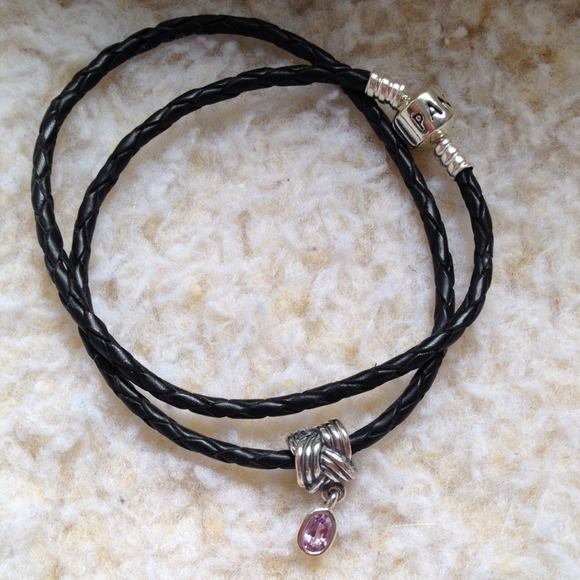 Pandora necklace with charm.