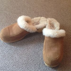 Uggs Clogs