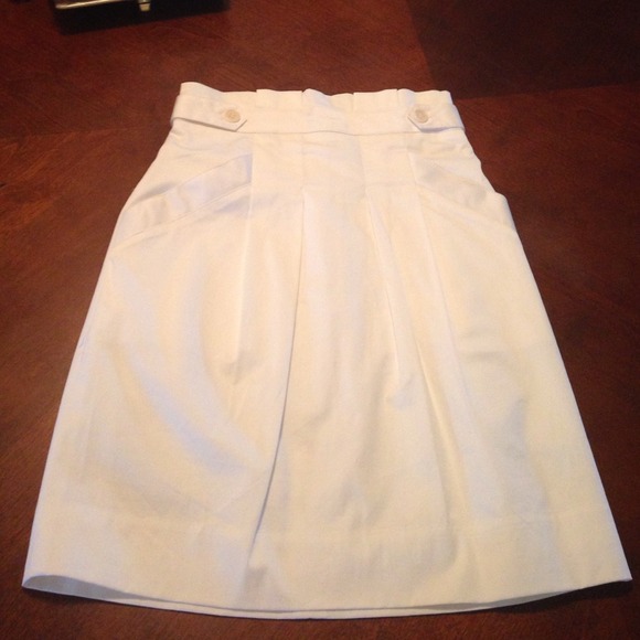 🎁BCBG Maxazria skirt