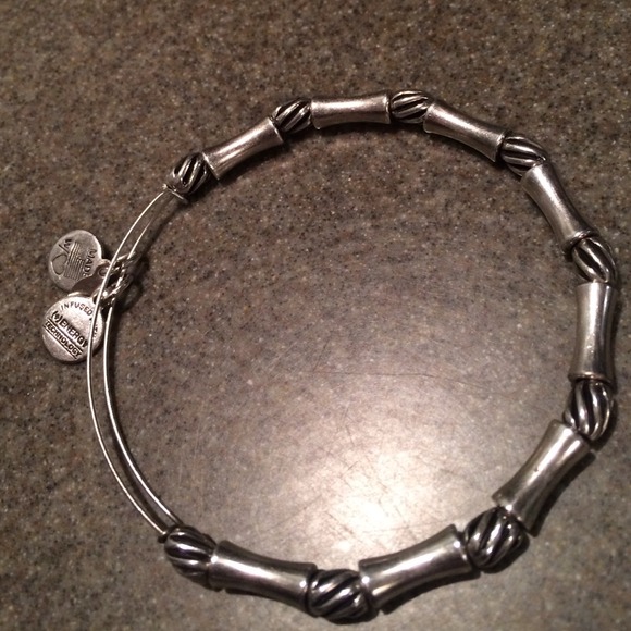 Alex and Ani constellation bracelet