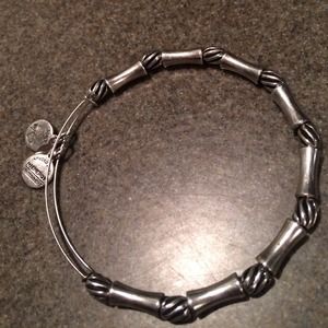 Alex and Ani constellation bracelet