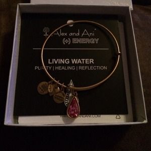 🎀 RARE 🎀 Alex and Ani NWT