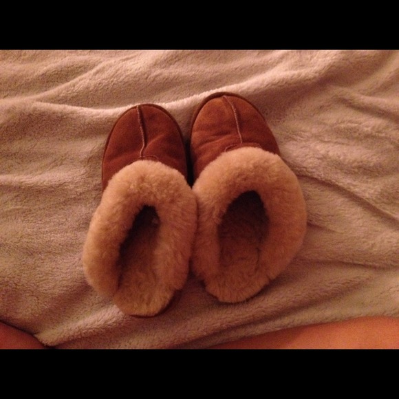 Bearpaw slippers