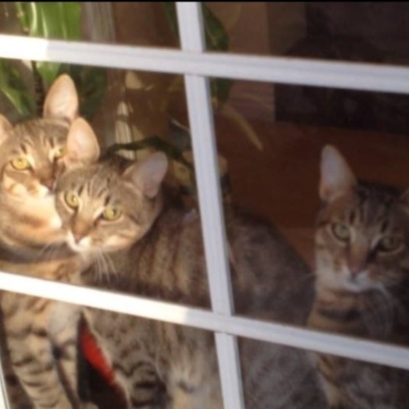 About your seller - Picture 2 of 5