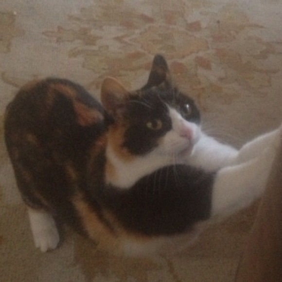 About your seller - Picture 4 of 5