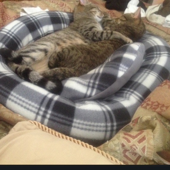 About your seller - Picture 3 of 5