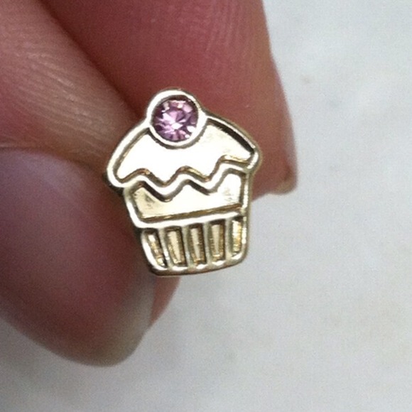 Sweet cupcake earrings
