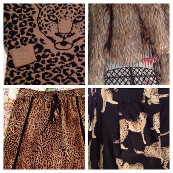 Love animal prints and patterns?