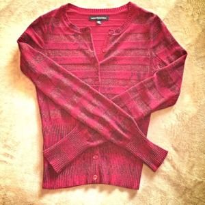 Express Sparkle Sweater