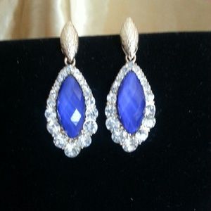 Gorgeous Earrings