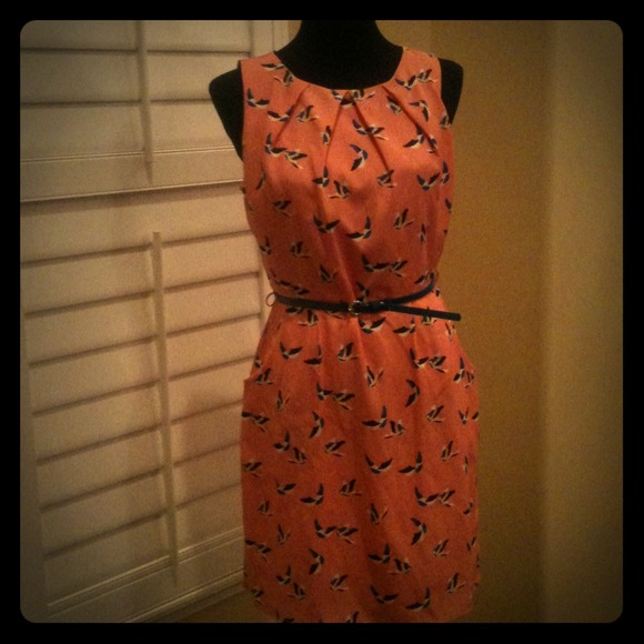 Pretty bird detail!