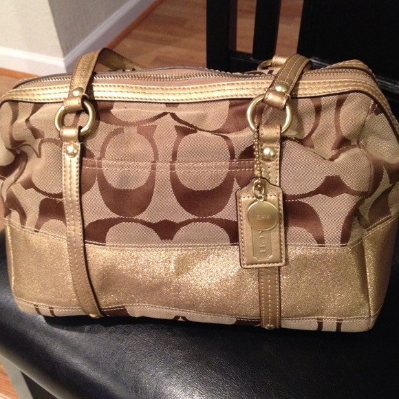 💯 percent authentic coach handbag and earring
