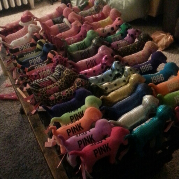 Help me build my army of VS dogs! - Picture 2 of 4