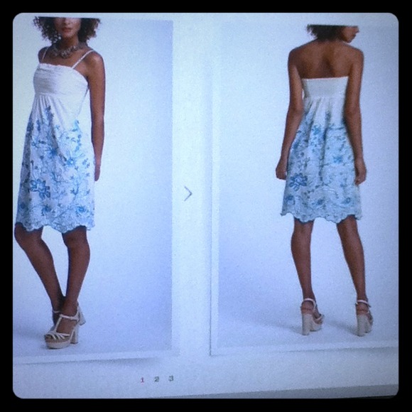 Anthropologie Dresses & Skirts - Anthropologie stitched cornflower mesh dress - 4