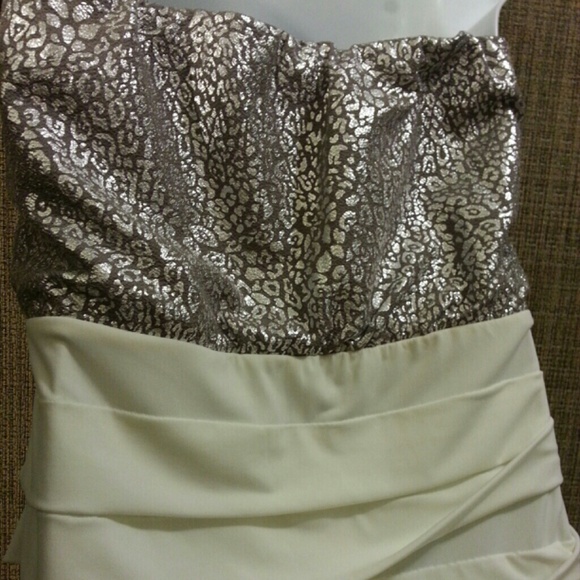 ***SOLD***π πHP 6/11 π π Silver & Ivory Dress - Picture 3 of 3