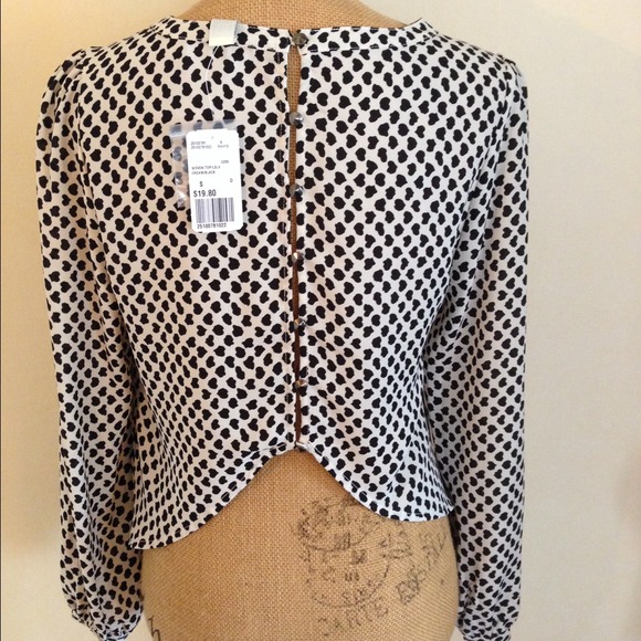 White & Black Crop Top NWT - Picture 2 of 2