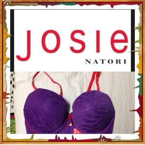 JOSIE NATORI 34 D New w/out tag