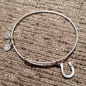 Alex and Ani retired horseshoe charm bangle