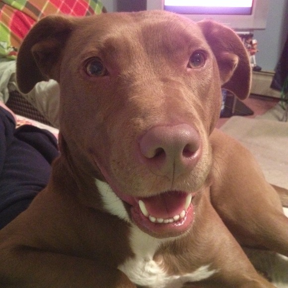 $19 to go, help me get there! - Picture 3 of 4