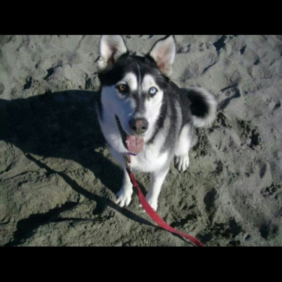 Meet your seller/buyer - Picture 3 of 3