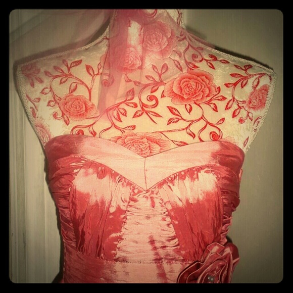 Fabulous and Divine long gown