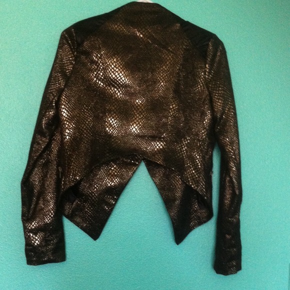 Metallic Jacket - Picture 2 of 4